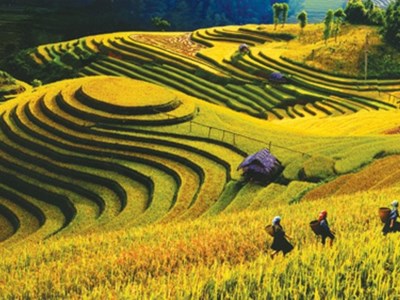 Thêm 7 di tích quốc gia đặc biệt