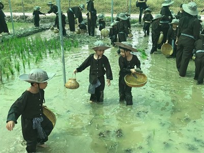 Độc, lạ mô hình du lịch sinh thái giải trí kết hợp giáo dục tại TP.HCM