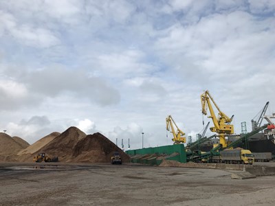 Nguy cơ ô nhiễm biển từ cảng dăm gỗ