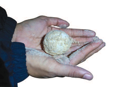 “Hành trình” chuyển hàng nghìn trứng rùa biển