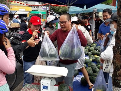 Hội An “giải cứu” hàng chục tấn dưa hấu