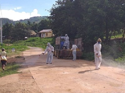 Kon Tum: Chủ động phòng chống dịch cúm A/H5N1 trên gia cầm