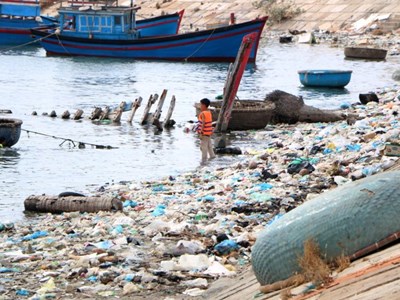 Ninh Thuận: Rác thải “bủa vây” kè biển, ảnh hưởng môi trường du lịch