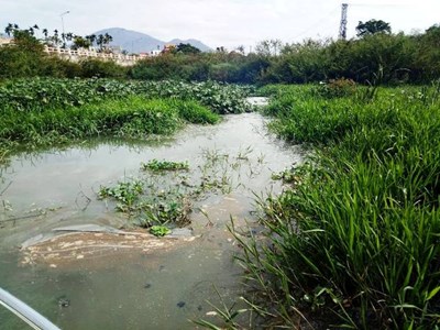 Khánh Hòa: Sông Cái bị “bức tử” vì rác, nước thải ảnh hưởng môi trường du lịch