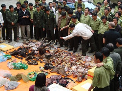 Ủng hộ tinh thần chỉ đạo của Thủ tướng về nghiêm cấm mua bán, tiêu thụ động vật hoang dã