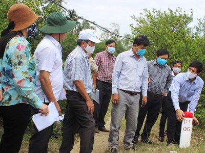 Kiên quyết xử lý xâm phạm danh thắng quốc gia đầm Ô Loan