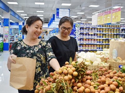 Vận động TT thương mại, siêu thị, cửa hàng cam kết giảm thiểu sử dụng túi ni-lông, chai lọ nhựa