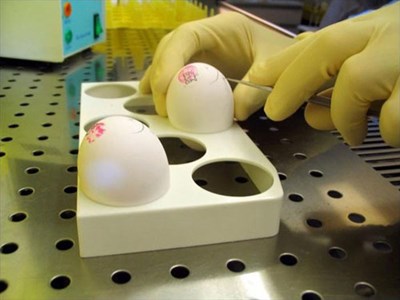 Nhiều kỳ vọng vào biện pháp mới điều trị ung thư