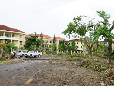 Thừa Thiên Huế: Bão số 5 gây thiệt hại khoảng 505 tỉ đồng