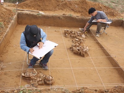 “Bãi Cọi - Nơi gặp gỡ các nền văn hóa”