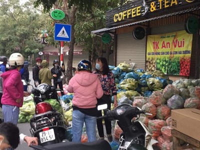 Nghệ sĩ "giải cứu" nông sản cho bà con nông dân ở Hải Dương