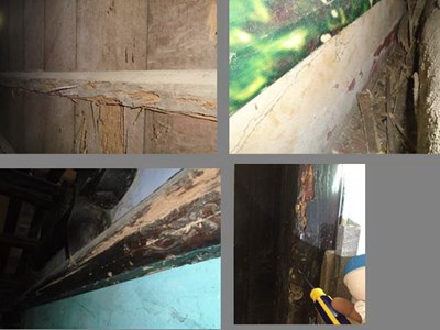 Mối mọt lại "tấn công" nhà cổ Hội An