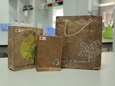 Sinh viên “sản xuất” túi giấy từ ...cây chuối