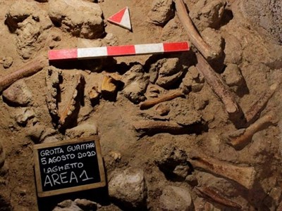 Di tích hóa thạch ở Italia gây chấn động về tổ tiên loài người