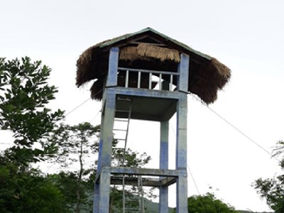 Phòng, chống cháy rừng khu di sản Mỹ Sơn