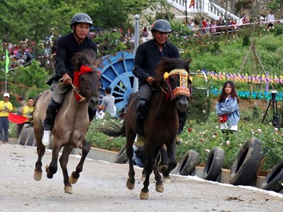 Bảo tồn những nét đặc sắc của di sản văn hóa Lễ hội đua ngựa Bắc Hà