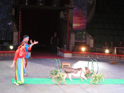 Xiếc thú thay "diễn viên"