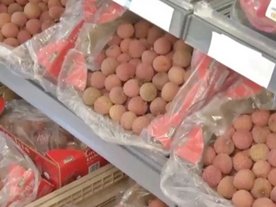 Lần đầu tiên vải thiều Việt Nam theo đường biển sang châu Âu