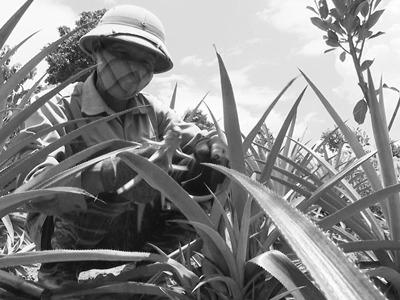 Ngày vì Nạn nhân chất độc da cam 10.8: Vượt qua nỗi đau