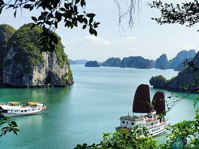 Quảng Ninh phát động sáng tác biểu trưng (logo) Sở Văn hóa và Thể thao