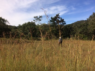 Kỳ thú Kon Ka Kinh - “Nóc nhà của Gia Lai”