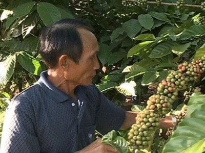 Câu chuyện xúc động vể một cuộc đời được làm lại