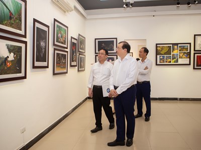 Festival Nhiếp ảnh trẻ 2021: “Sân chơi” hấp dẫn dành cho nhiếp ảnh trẻ