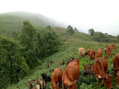 Đổi mới chính sách giảm nghèo, khơi dậy khát vọng xây dựng cuộc sống ấm no của người dân