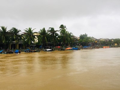 Quảng Ngãi, Quảng Nam mưa lớn, nhiều vùng ngập cục bộ