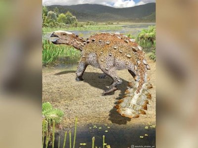 Chile: Phát hiện loài khủng long “bọc thép” mới có chiếc đuôi kỳ lạ