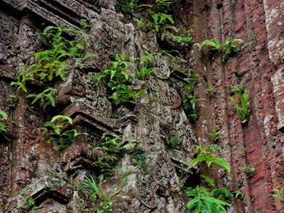 Đầu tư gần 6 tỉ đồng bảo tồn, tu bổ tháp Nam di tích tháp Chăm Khương Mỹ