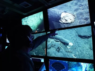 Trục vớt thành công ngà voi ma mút 100.000 năm tuổi