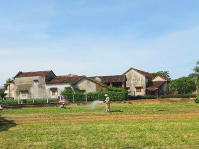 Làng rau hàng trăm năm tuổi hướng đến du lịch canh nông