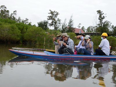 Hồi sinh rừng ngập mặn