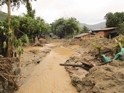 Xây dựng khu tái định cư cho các hộ dân trong vùng sạt lở núi Cấm