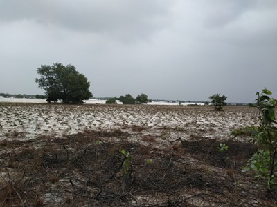 Nhiều dự án "đắp chiếu”, hàng trăm ha đất bỏ hoang ở TT- Huế: Người dân “xót” khi có dự án 17 năm... bất động