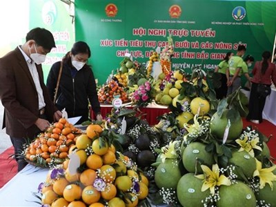 Thúc đẩy tiêu thụ nông sản nội địa vì khó khăn xuất khẩu còn kéo dài