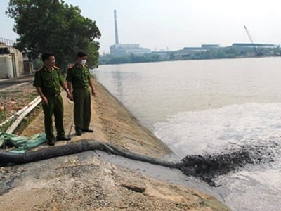 Xử lý nghiêm các hành vi vi phạm môi trường