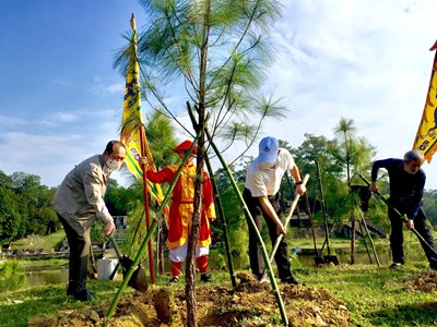 Trồng thêm 300 cây xanh ở quần thể di tích lăng Gia Long
