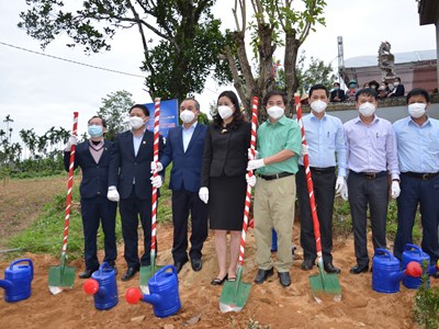 Quảng Ngãi: Trồng cây xanh ở Di tích kiến trúc nghệ thuật quốc gia Đình làng An Định