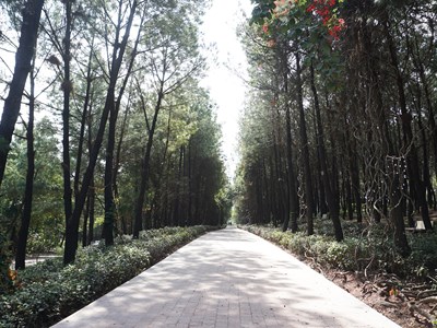 Chỉnh trang danh thắng đồi Vọng Cảnh phục vụ cộng đồng và du khách