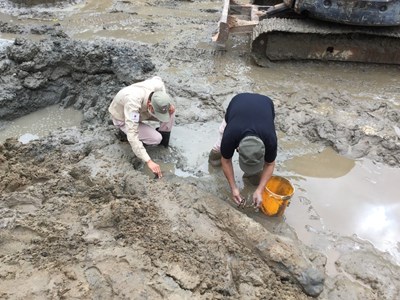 Quảng Bình: Xử lý an toàn quả bom tạ phát hiện khi đào móng nhà