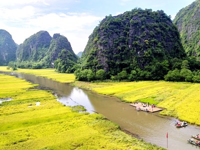 Ngắm sắc vàng Tam Cốc- Tràng An