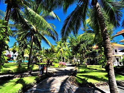 Cú hích cho​​​​​​​ du lịch Bình Thuận