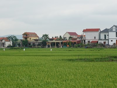 “Ốc đảo” trù phú giữa sông Gianh