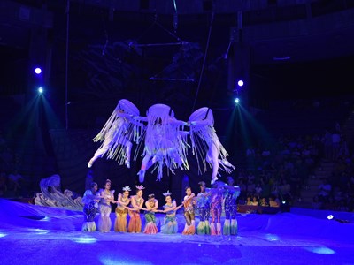 Hoạt động biểu diễn của các nhà hát Bộ VHTTDL: Những tín hiệu phục hồi tích cực