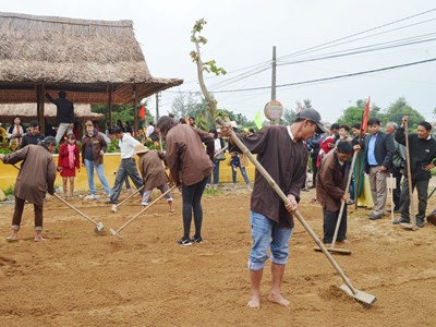 Làng rau Trà Quế đón nhận danh hiệu Di sản văn hóa phi vật thể cấp quốc gia