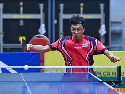Các tay vợt hàng đầu duy trì được phong độ tại Giải bóng bàn Báo Nhân Dân