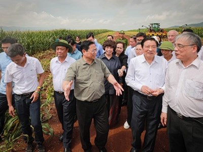 Thủ tướng thăm vùng sản xuất nông nghiệp công nghệ cao tại Nghệ An