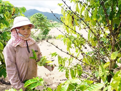Hai thủy điện không hỗ trợ thiệt hại cho người dân ở Kon Tum: “Tối hậu thư” cho hai công ty thủy điện chây ì
